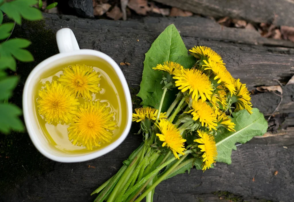 4 Healing Teas that your organs will thank you for