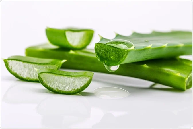 6 Natural Herbs that Improves your Health Naturally